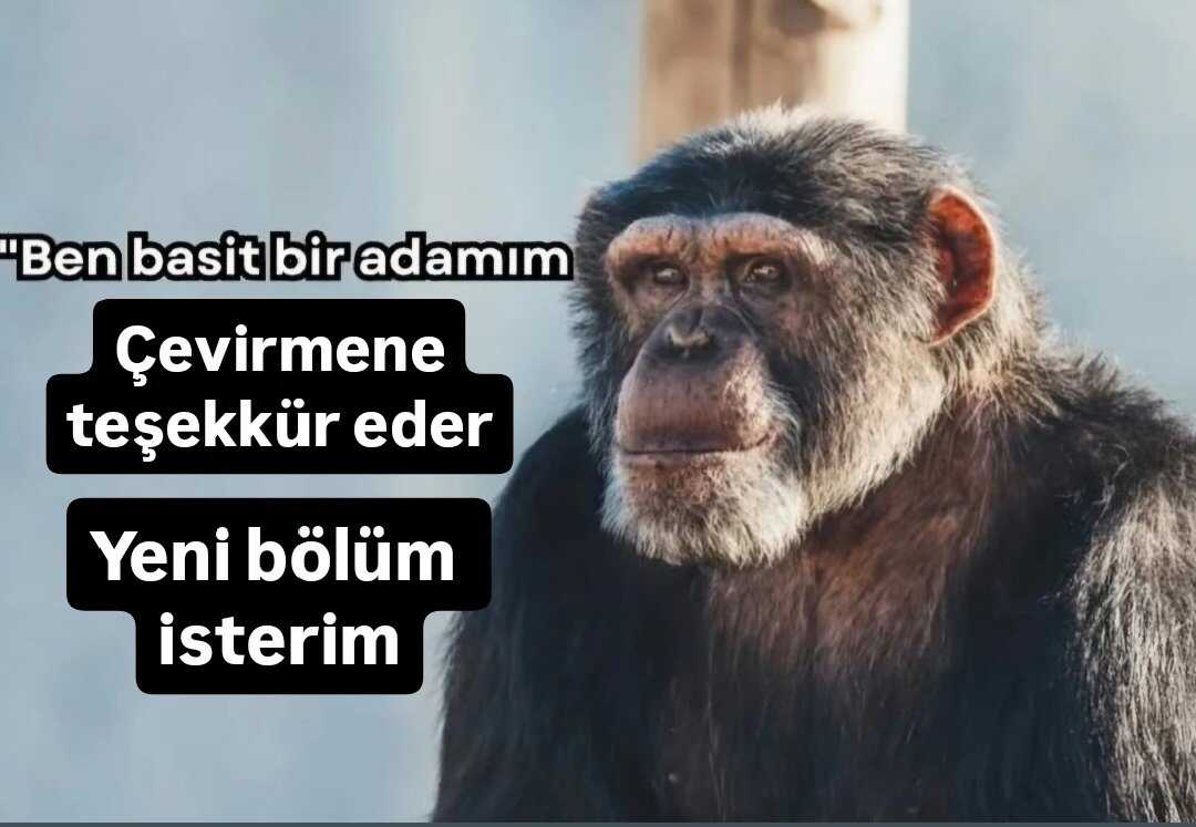 Yorum resmi