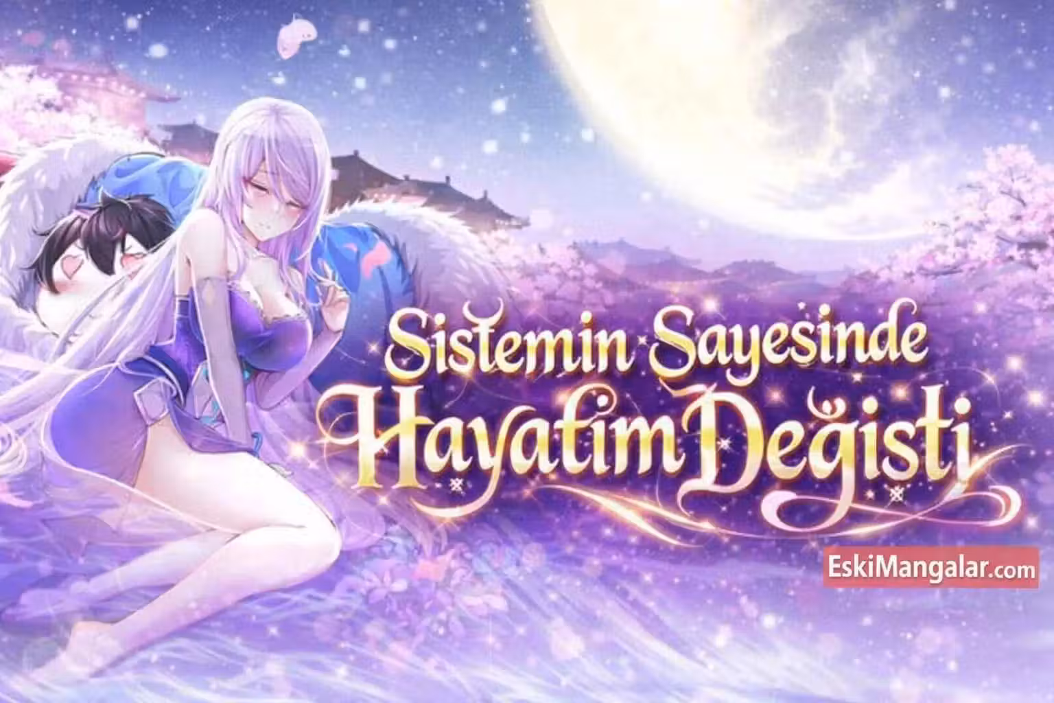 Sistemin Sayesinde Hayatım Değişti