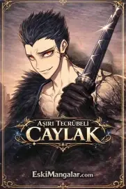 Aşırı Tecrübeli Çaylak